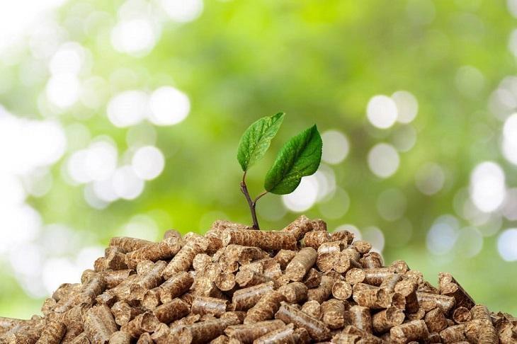 A cutting growing plant out of a mound of feed pellets