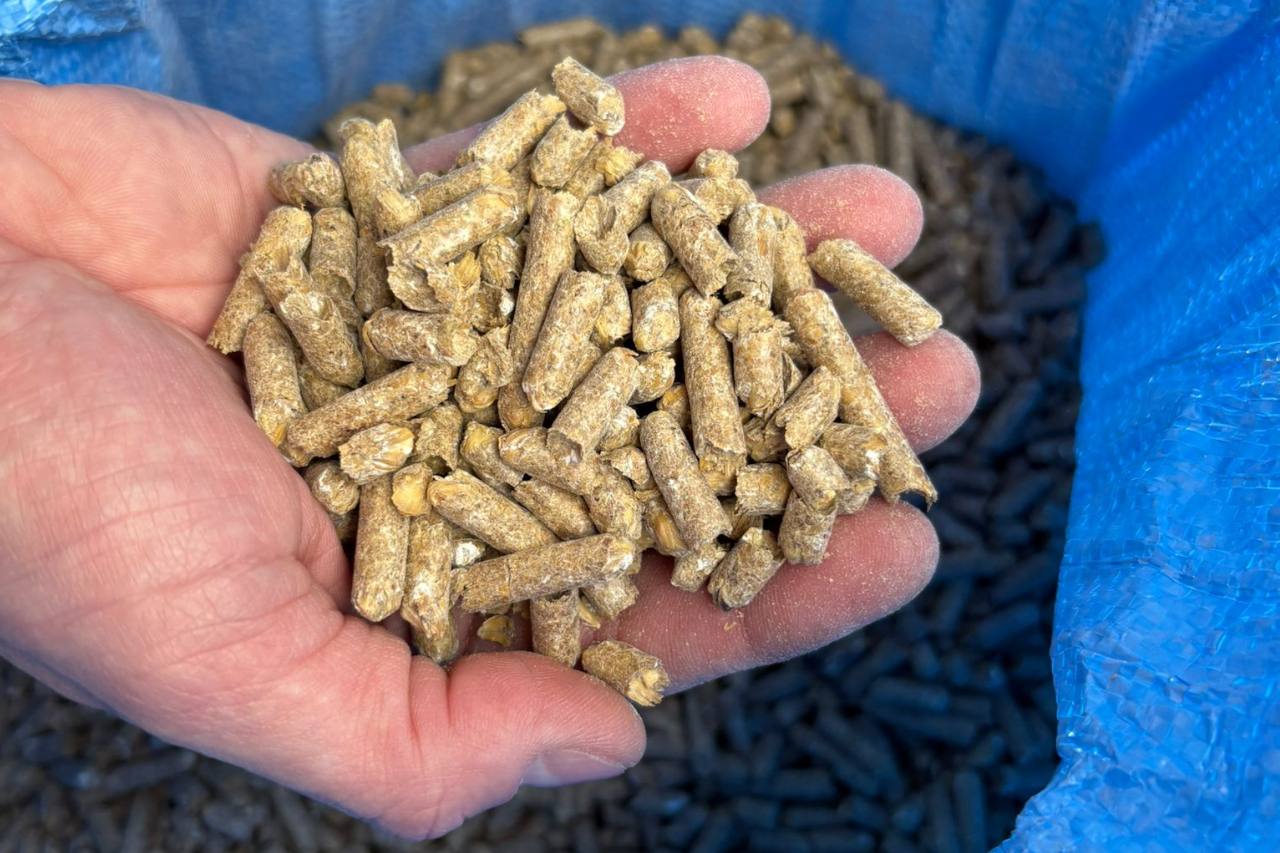 Granulated feed